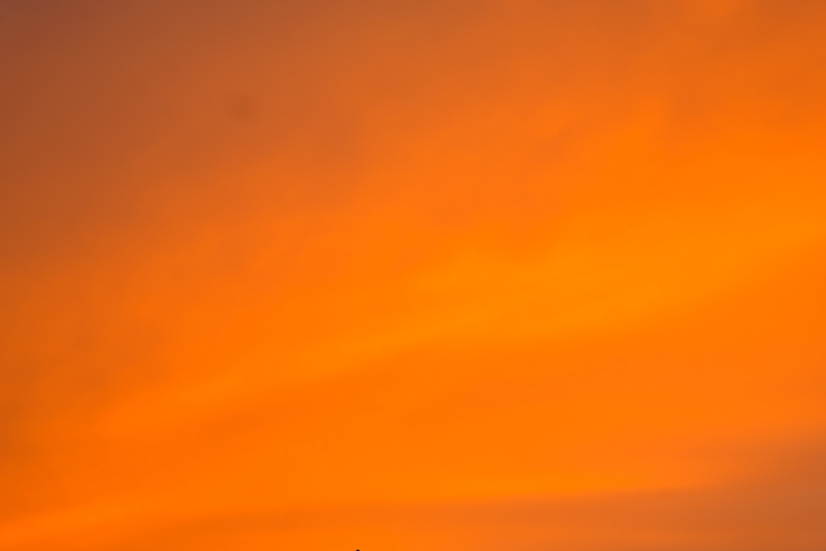 Sunset in the Sky
